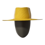 Jugador de ajedrez de Citron Palm