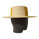 Jugador de ajedrez de Citron Palm