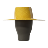 Jugador de ajedrez de Citron Palm