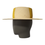Jugador de ajedrez de Citron Palm