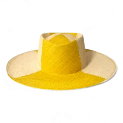 Jugador de ajedrez de Citron Palm